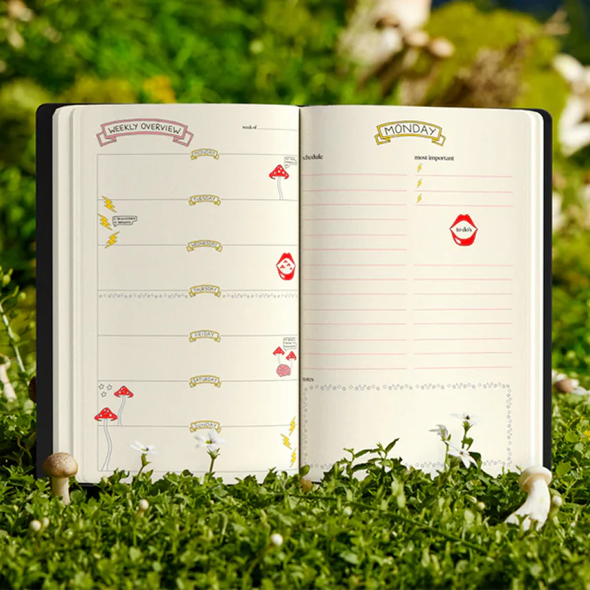 brainstorm + journal - Image 4