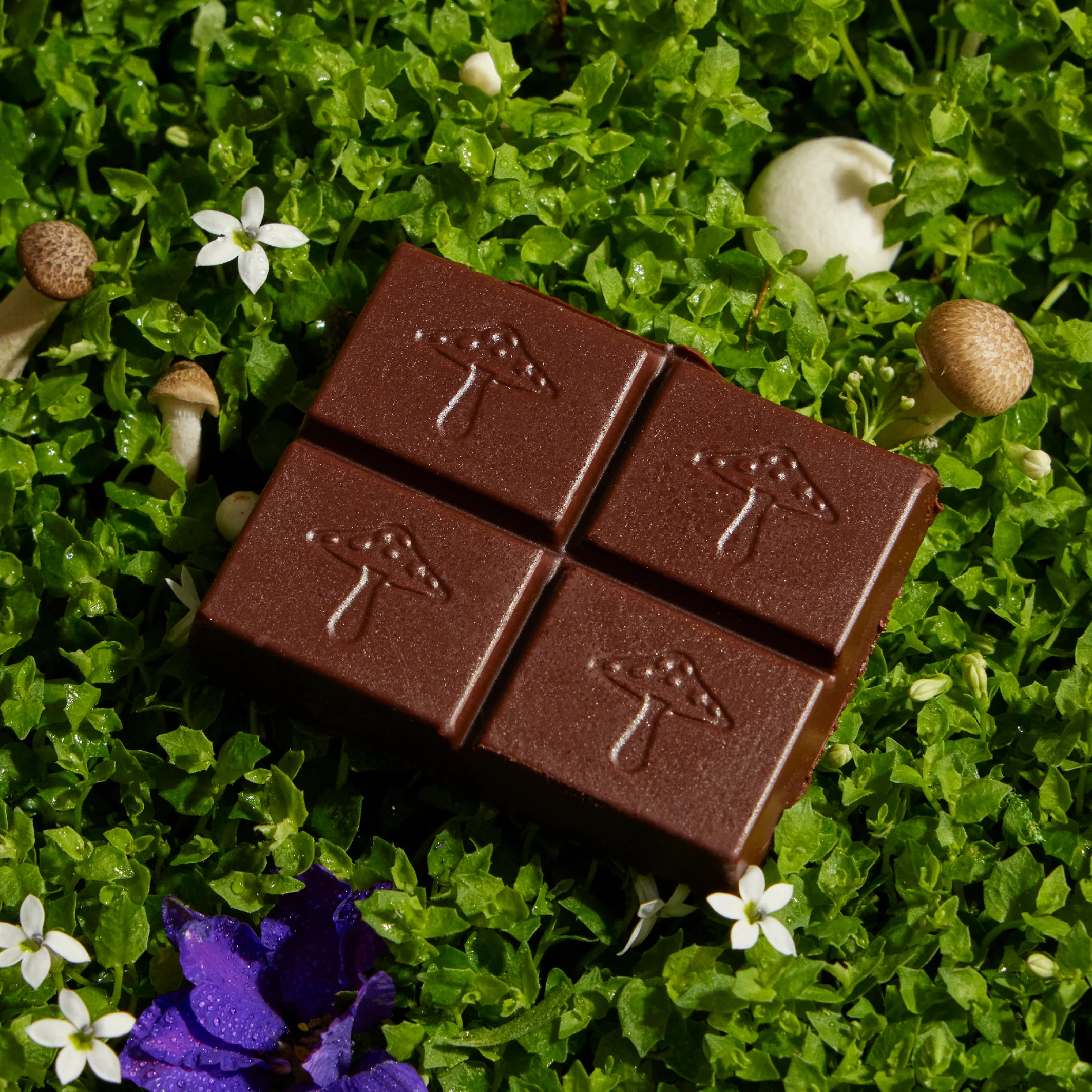 Discovery Set - Zen-X, Brainstorm, Nightcap, Party Trick, and Happy Ending Functional Mushroom Chocolates - Image 10
