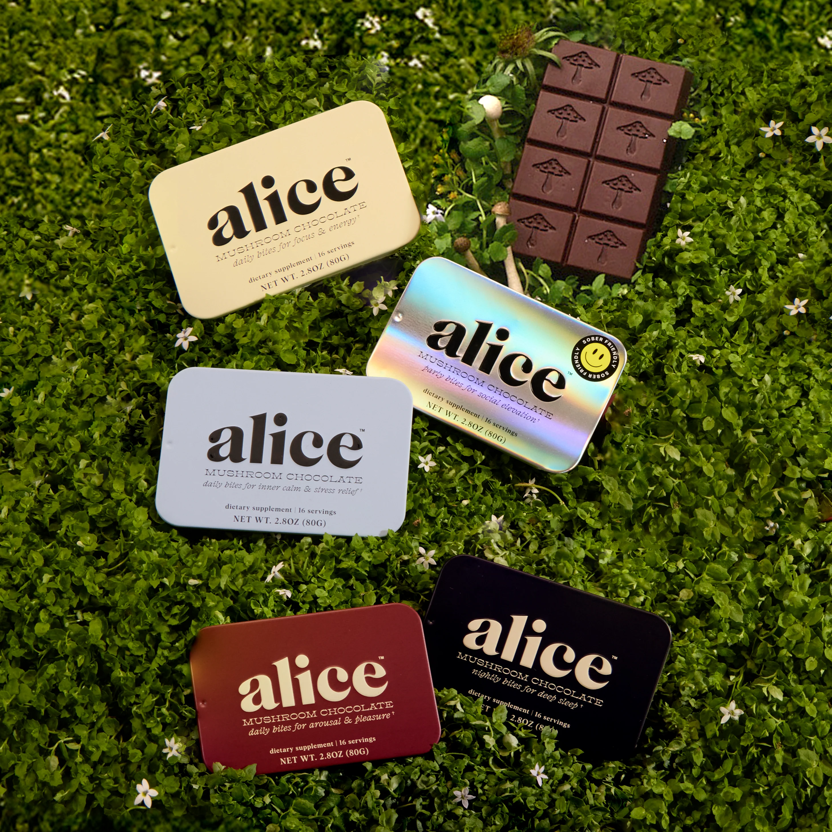 Discovery Set - Zen-X, Brainstorm, Nightcap, Party Trick, and Happy Ending Functional Mushroom Chocolates - Image 7