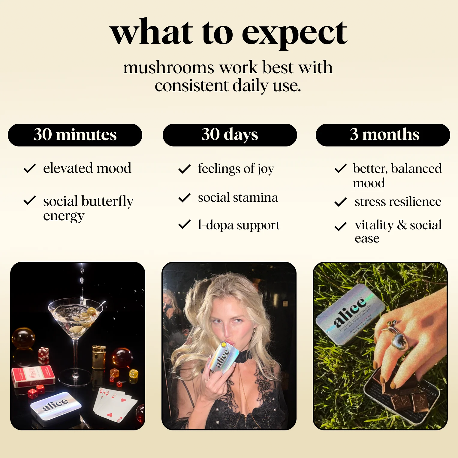 Big Night Bundle (Party Trick, Happy Ending, Nightcap) - Image 5