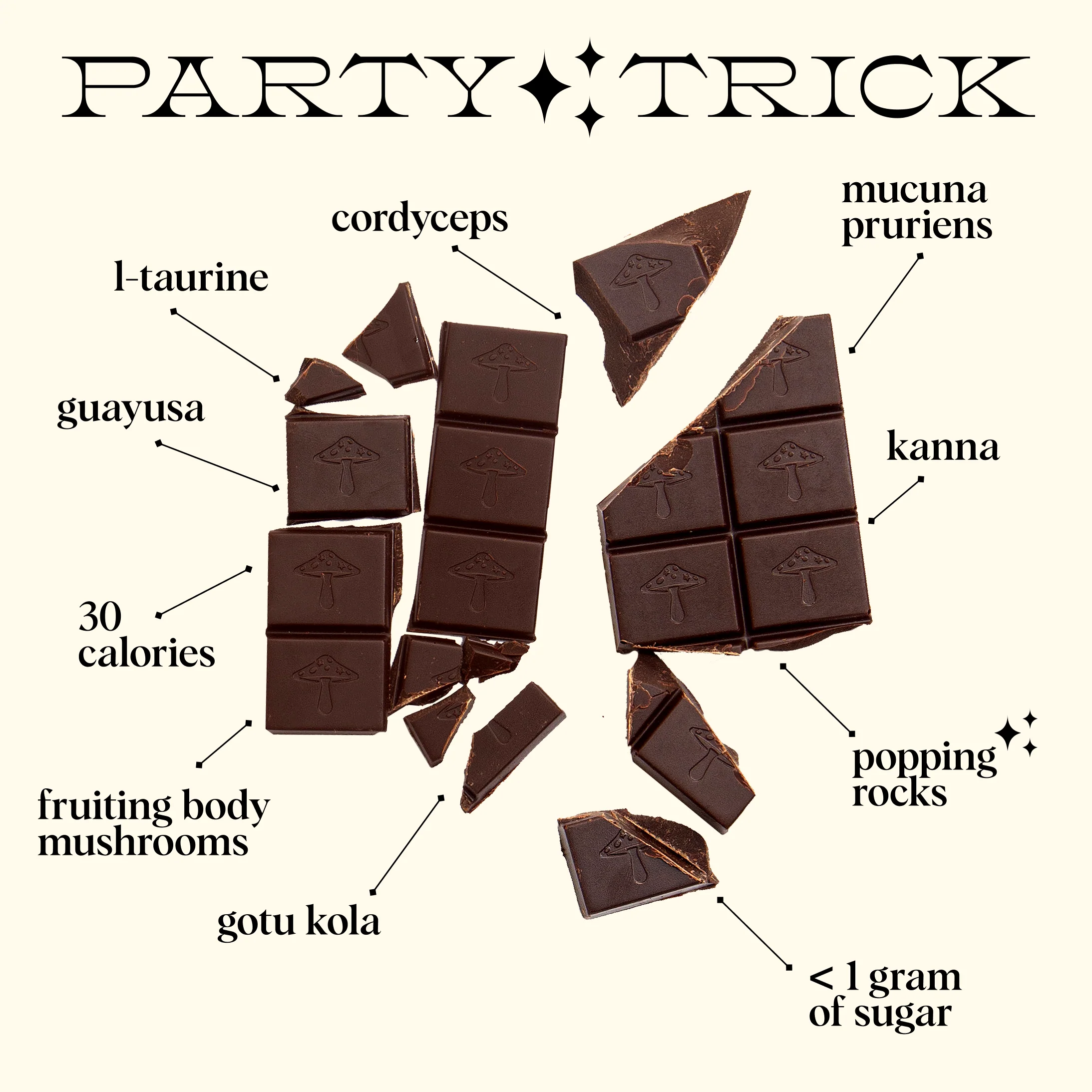 Party Trick Functional Mushroom Chocolates - Image 6