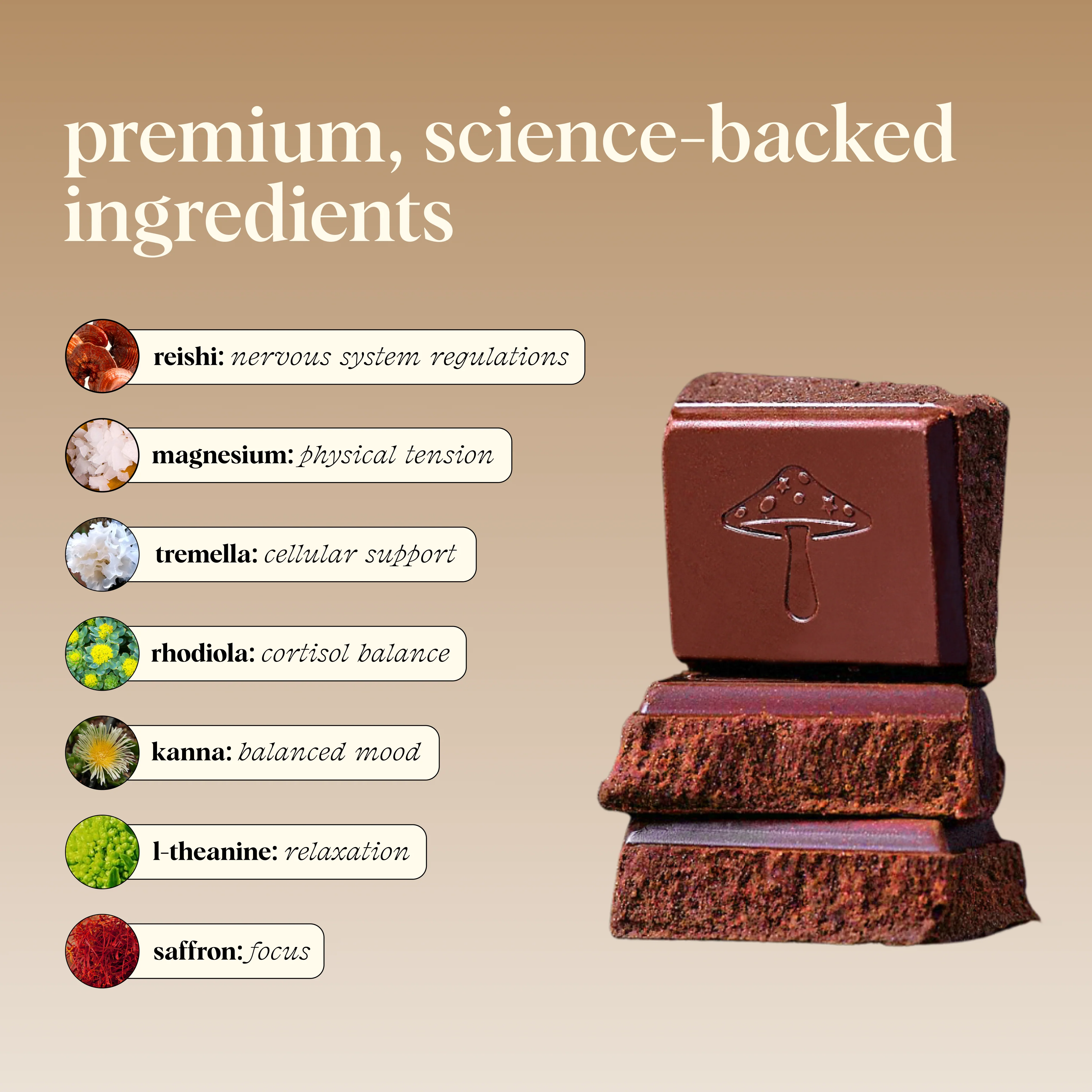 Zen-X Functional Mushroom Chocolates - Image 3