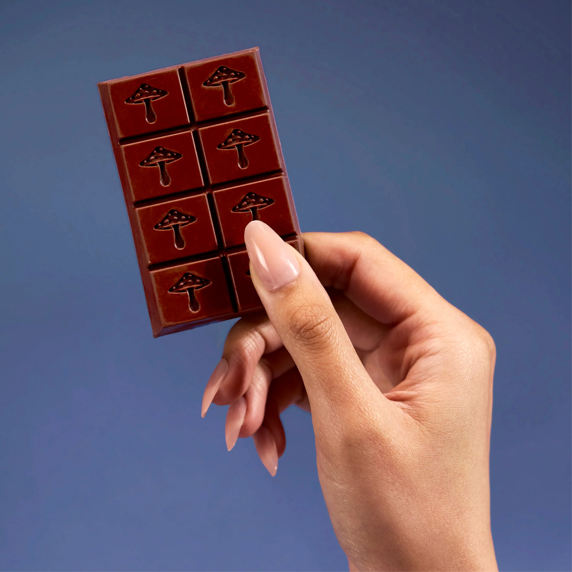 Zen-X Functional Mushroom Chocolates - Image 12